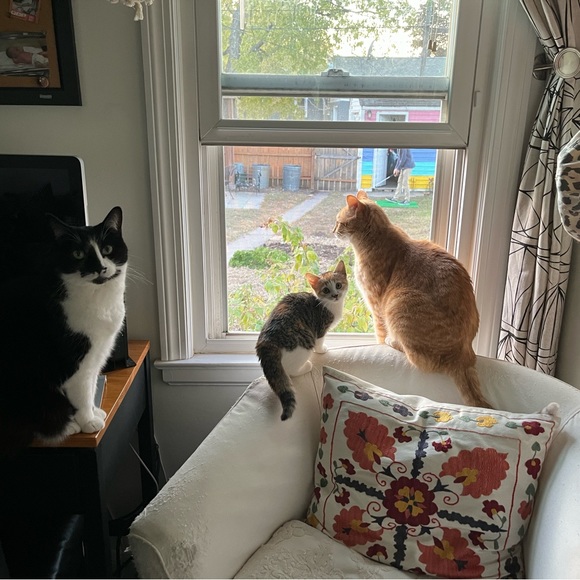 I'm a Poshmark Ambassador!!!! - Picture 8 of 15